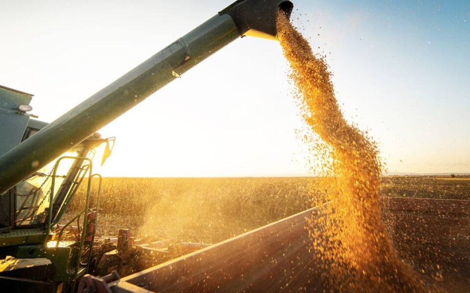 Recaudación por exportaciones de granos argentinos registra una suba del 25% interanual