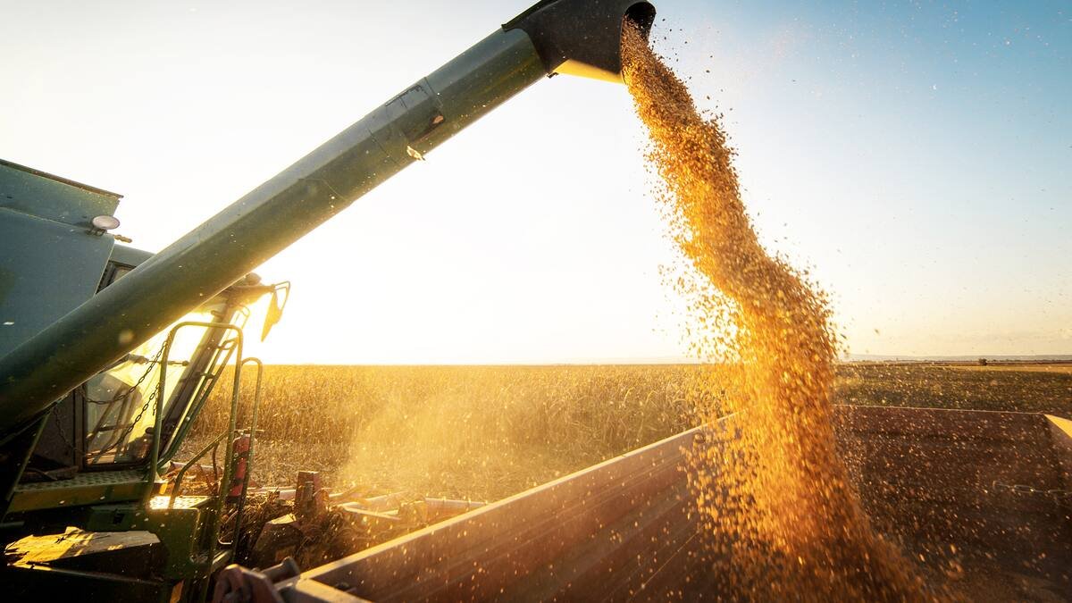 Recaudación por exportaciones de granos argentinos registra una suba del 25% interanual