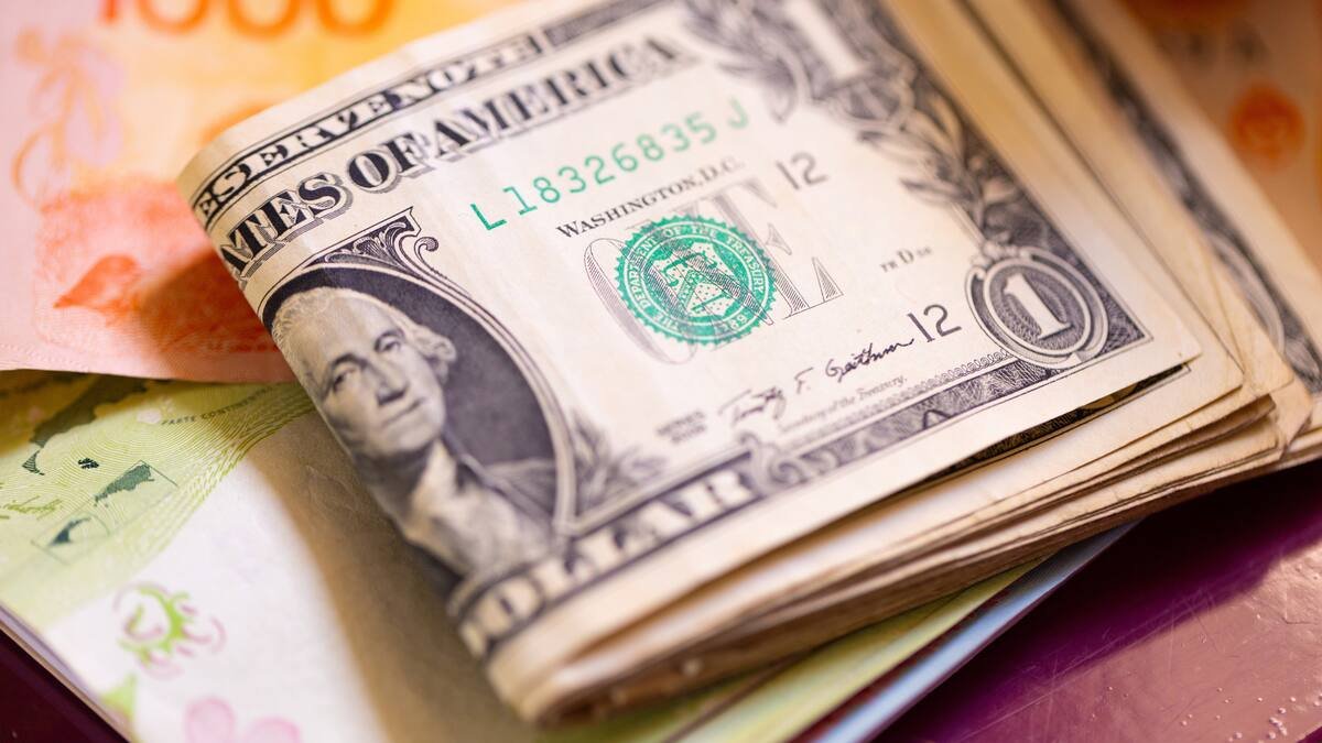 El BCRA retomó la compra de dólares en el mercado en la primera jornada de julio