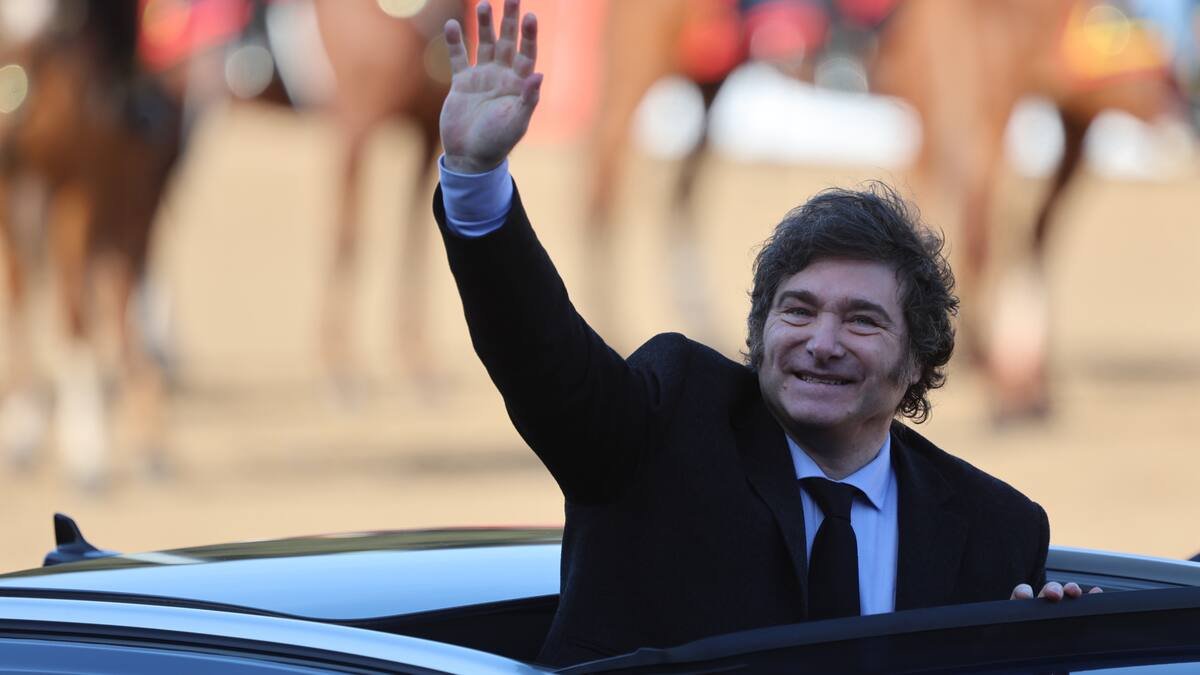 ¿Qué medidas concretas anunció Javier Milei para el campo?
